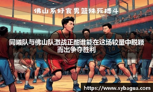 DG视讯官方网站